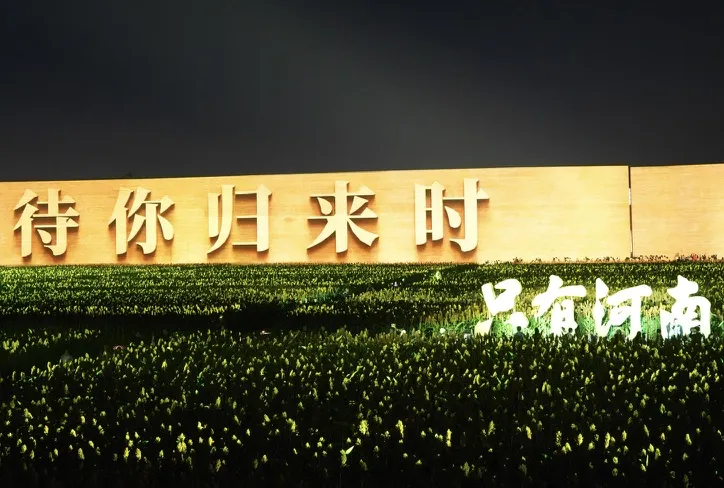 2026-10-05 · 只有河南夜里的麦田与灯光