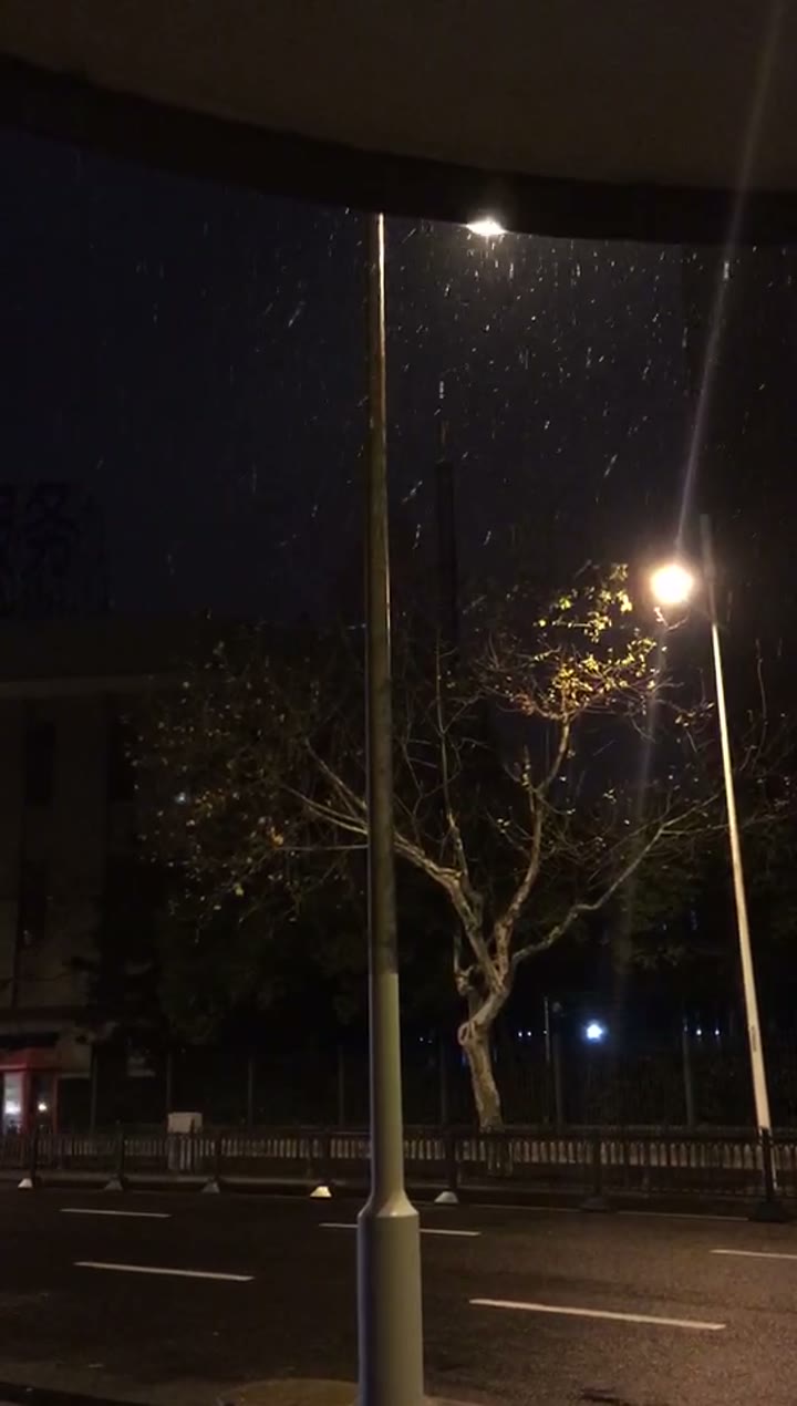 生活随想与日常