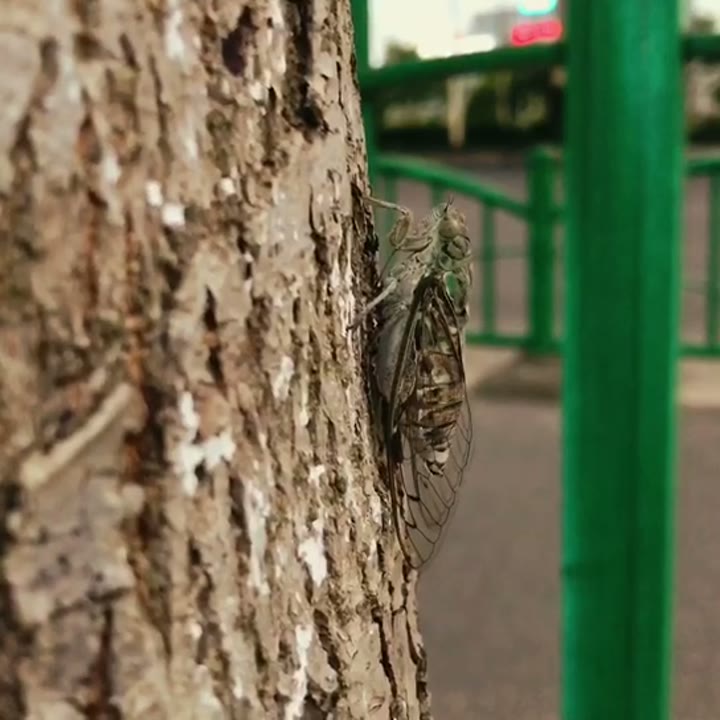 调低媒体音量
