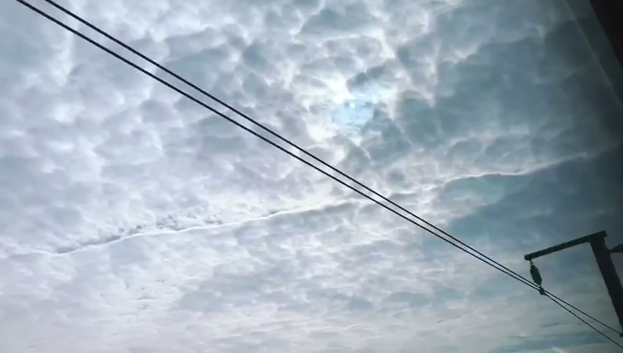 生活随想与日常