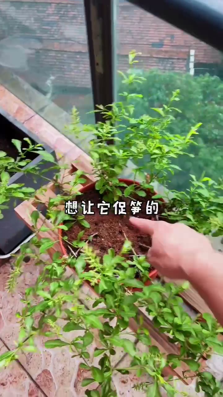 生活随想与日常