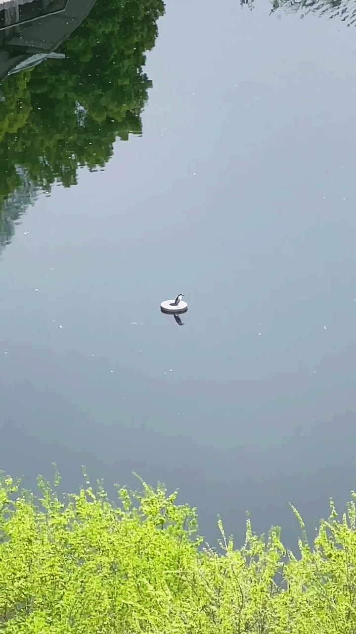 生活随想与日常