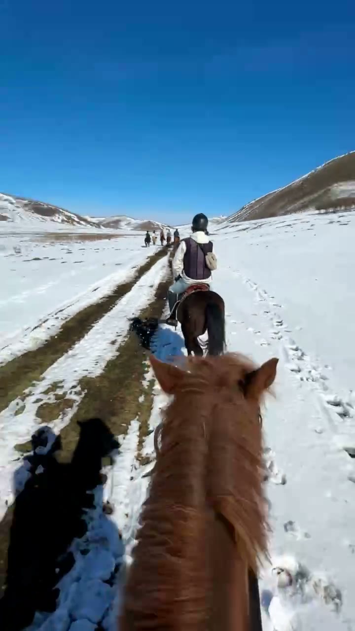 呼伦贝尔随记