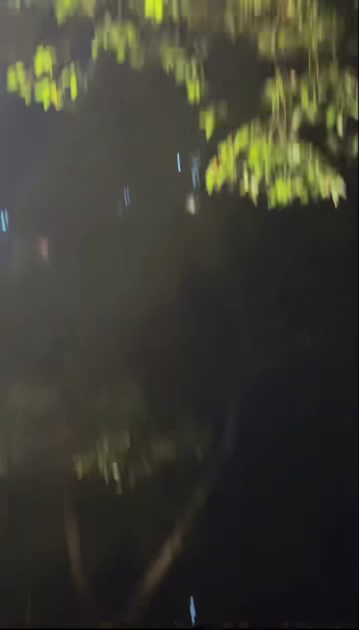 生活随想与日常