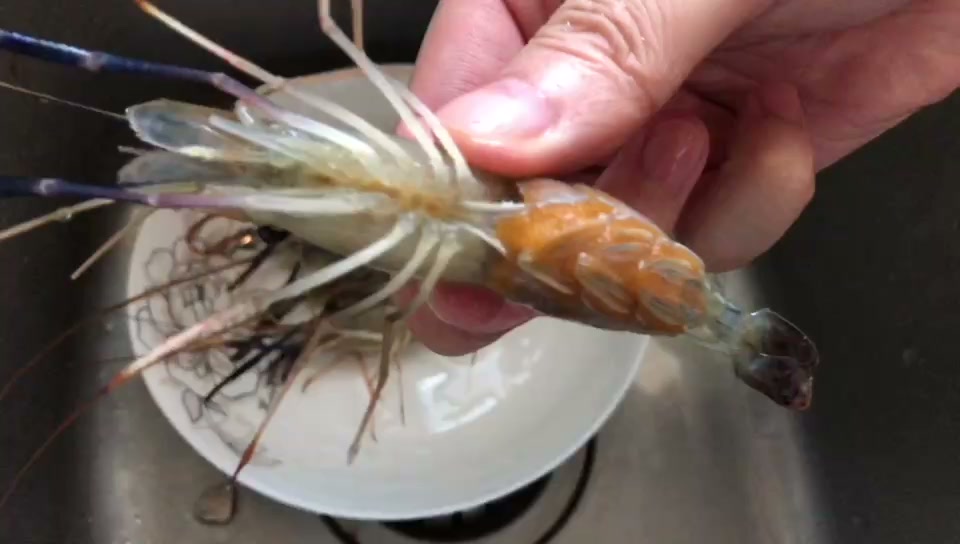 当年的视频记录