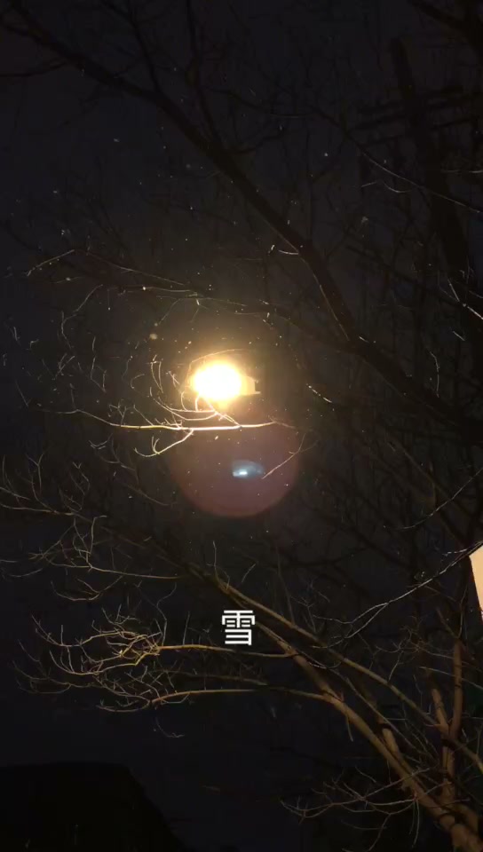 当年的视频记录