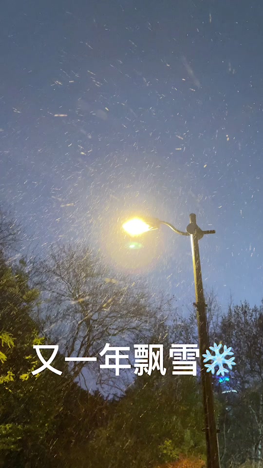 当年的视频记录